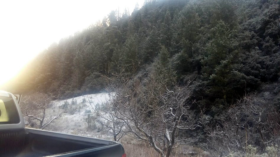 Este jueves se presentó la primera nevada en la Sierra de Arteaga.