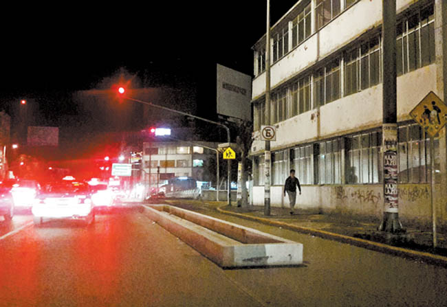 Las jardineras separan el carril confinado del flujo vehicular. 