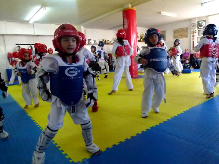 Un gran problema es el gran número de escuelas sin afiliarse a la Federación Mexicana de Taekwondo.