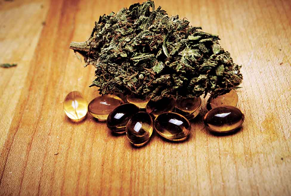 Estos medicamentos disminuyen el dolor intenso, incrementan el apetito y mejoran el sueño.