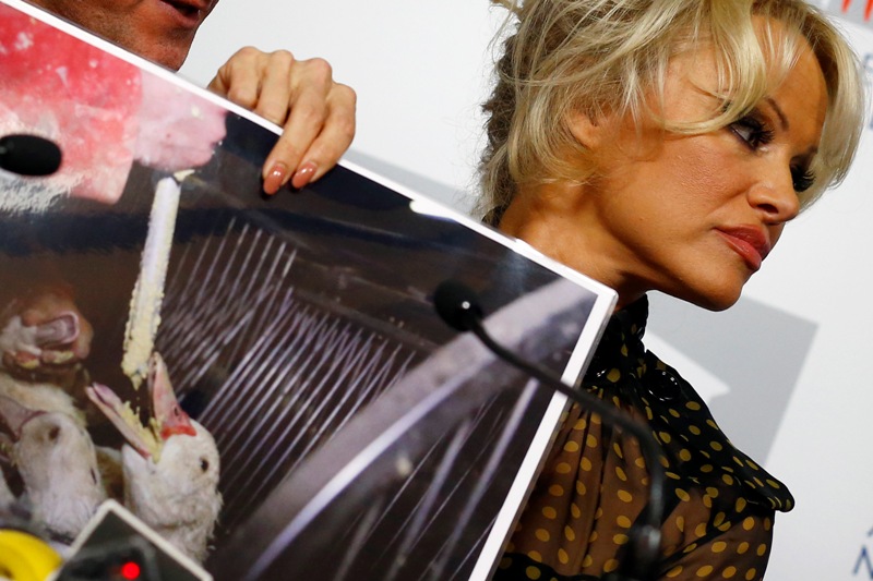 Pamela Anderson habló del maltrato animal.