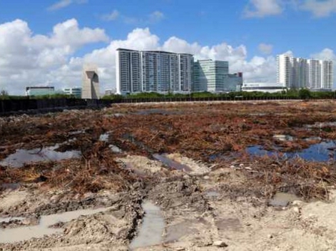 Integrantes del grupo activistas Defensores del Manglar denunciaron que en dos días devastaron casi 90% de la superficie vegetal de los predios, queda