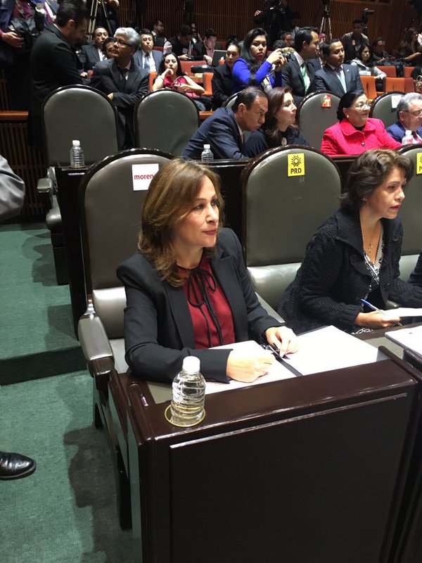 Rocío Nahle, diputada de Morena.
