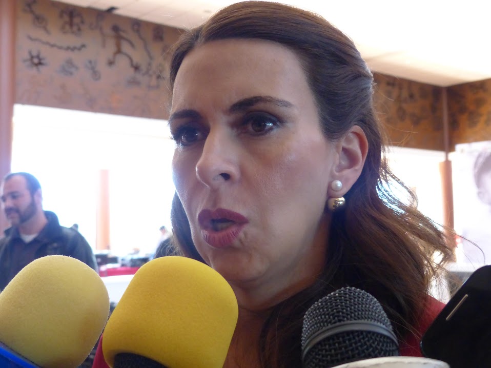 Carolina Viggiano Austria, diputada Federal. 