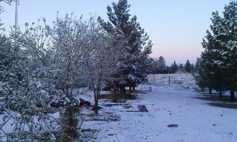 En los últimos días se registraron nevadas en varios municipios de Chihuahua.