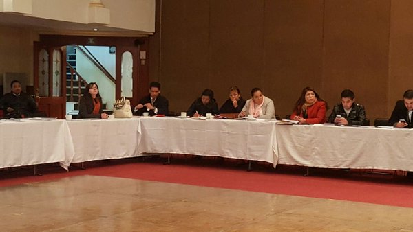 Reunión plenaria de los diputados de Morena.