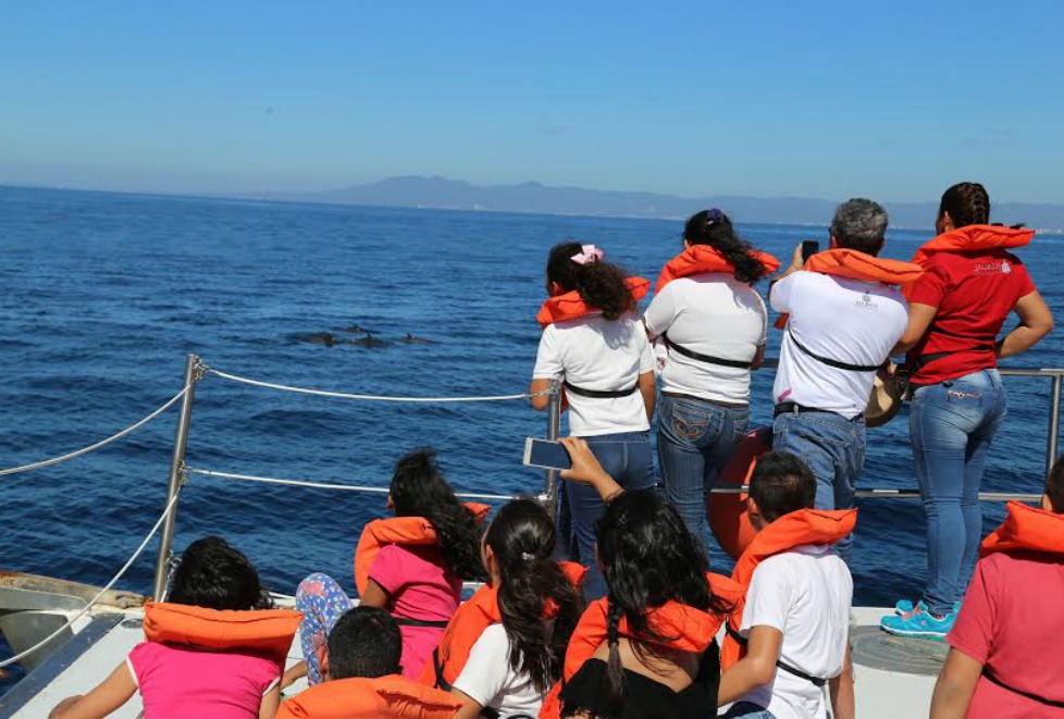 A bordo de un barco los pequeños pudieron observar a una ballena que nadaba junto a su ballenato.
