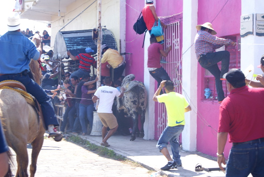 El embalse de los toros dejó 7 personas lesionadas.