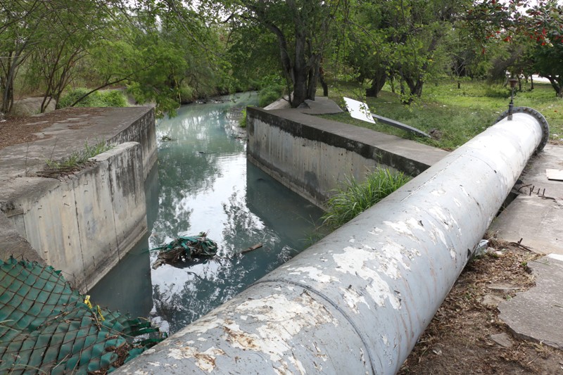 La nata verde que desde el año pasado aparece en la superficie de la Laguna del Carpintero es potencialmente tóxica.