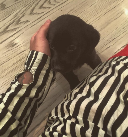 La nueva mascota de Justin Bieber. 
