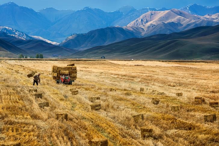Un campo de cultivo en China. 