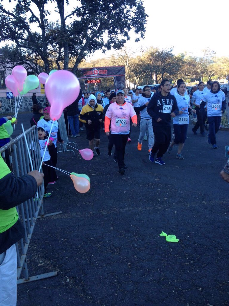 Primera carrera Mosaico Down 