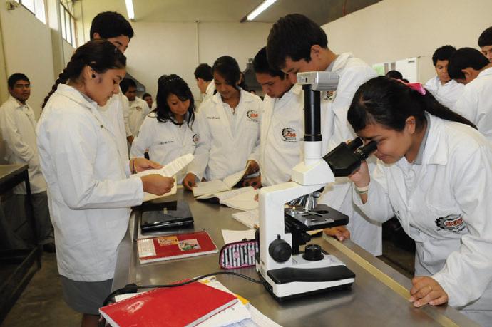 Unas de las principales ramas para hacer posgrados son en las áreas de salud y medio ambiente.