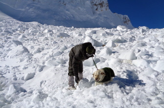 Un soldado indio, junto a un perro de rescate, busca posibles sobrevivientes de la avalancha en el glaciar Siachen