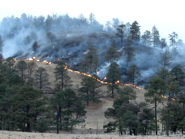 Durante el fin de semana se registraron en Durango 4 incendios forestales.
