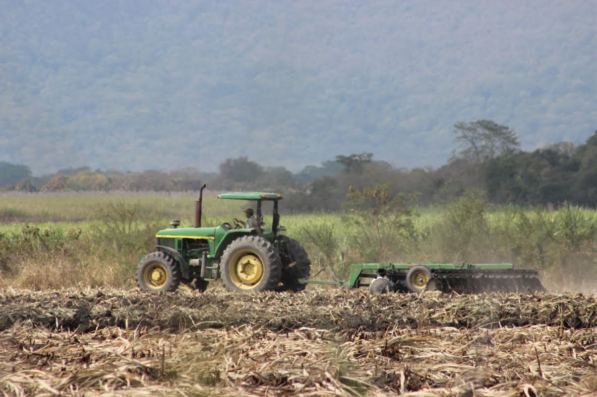 Campesinos de El Mante consiguen prestamos para cultivar sus tierras.
