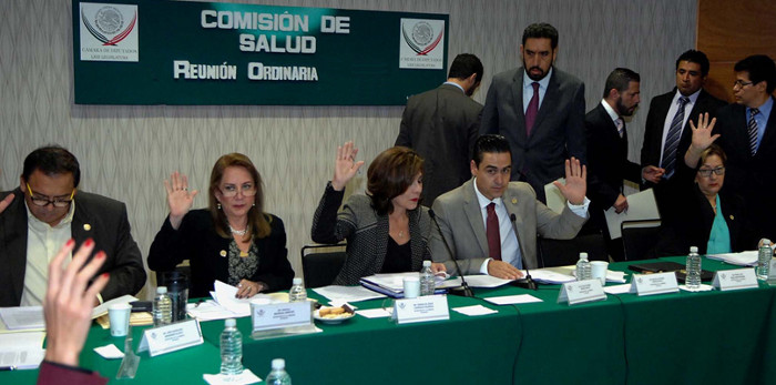 Comisión de Salud de la Cámara de Diputados. 