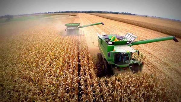 México no se ha preocupado por informar a sus productores sobre los riesgos y beneficios de la industria maicera.