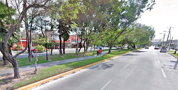 Recomiendan realizar deporte en sitios con arbolado denso y no en avenidas.