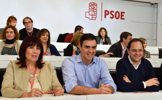 El líder socialista Pedro Sánchez (c), sonríe durante la reunión del Comité Federal del PSOE, hoy en Madrid