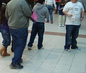 https://images.milenio.com/2K9QjIPVecd5nSPI2jG8i4A5TkU=/958x596/uploads/media/2016/03/09/obesidad-infantil-en-tamaulipas.jpeg