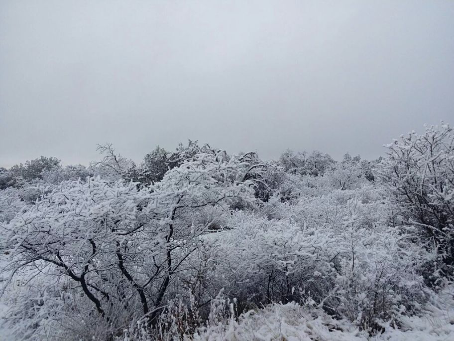 El Estado de Durango se prepara para una posible declaratoria de emergencia por nevadas.
