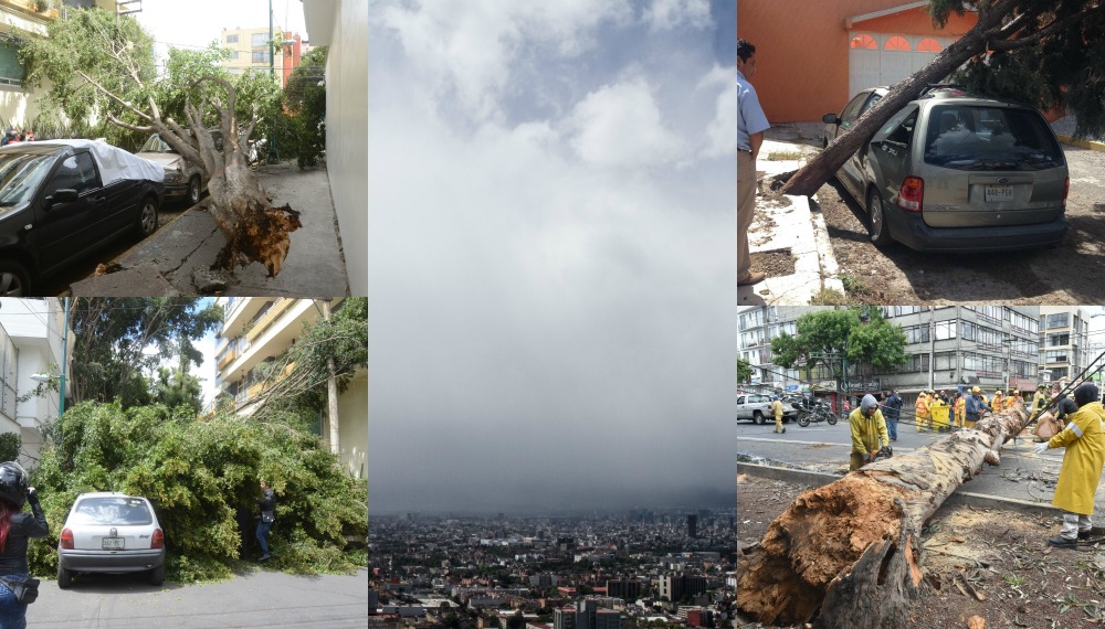 Los frentes fríos 44 y 45, además de la tormenta invernal 11 han dejado un saldo de al menos cinco muertos y 35 heridos en el país.
