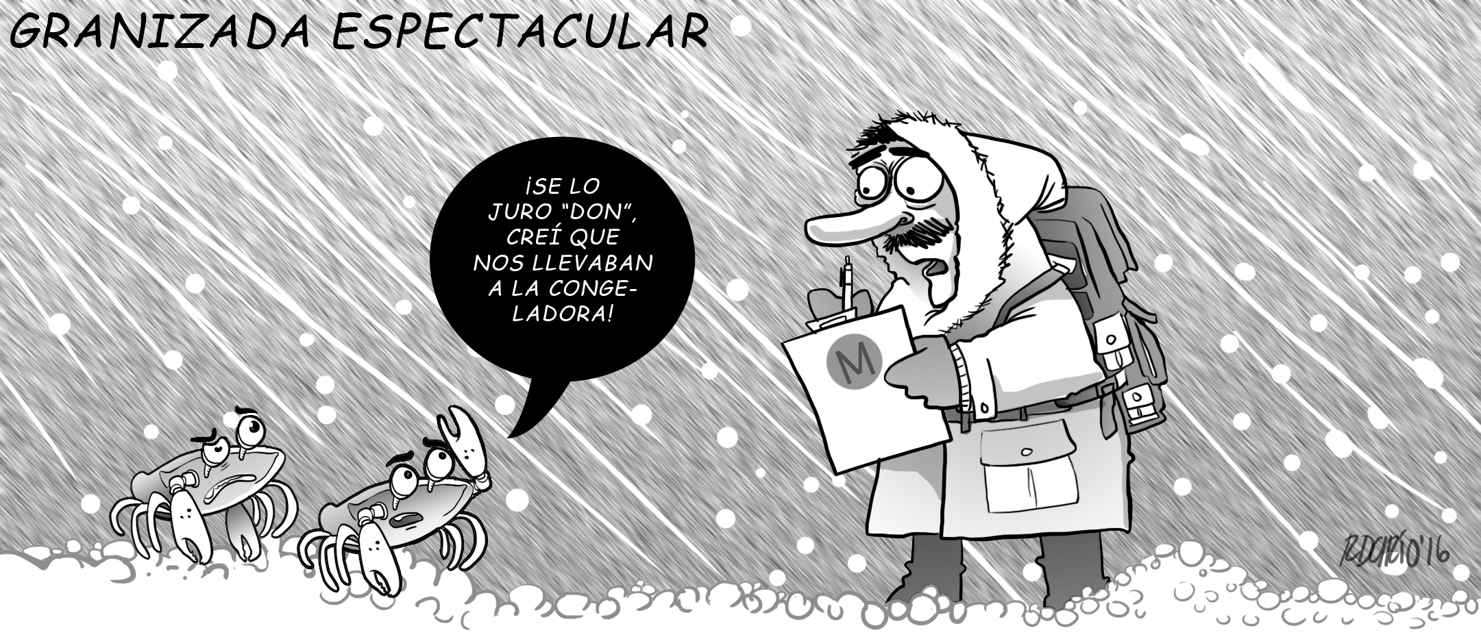 GRANIZADA ESPECTACULAR