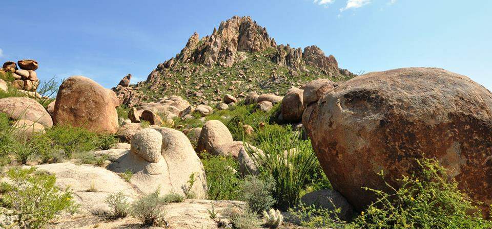 La Sierra del Sarnoso, en Gómez Palacio, fue declarada reserva ecológica.
