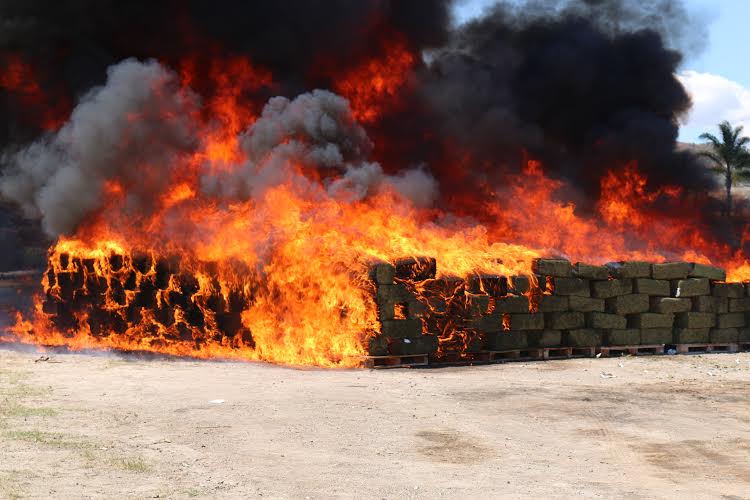 Entre lo asegurado hay cinco toneladas 968 kilos 864 gramos 500 miligramos de mariguana