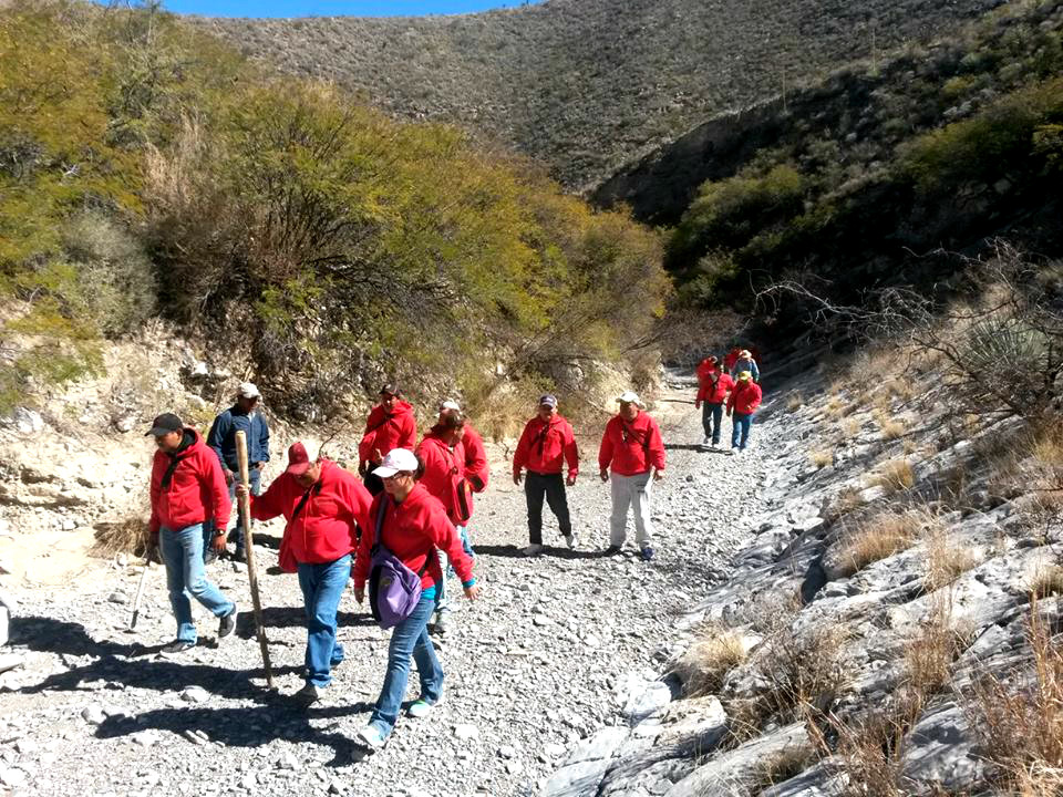 Empresas Laguneras buscan promover el trabajo en equipo mediante actividades de ecoturismo.