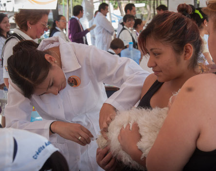 El estado de Querétaro prevé vacunar 250 mil 650 perros y gatos