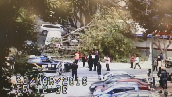 La caída de un árbol en la colonia San Rafael en la Zona Rosa dejó seis lesionados. 