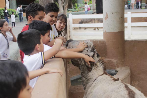 Los más pequeños suelen divertirse con animales del Rancho Veterinario.