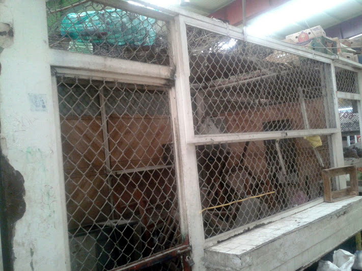 Inspección en el Mercado Juárez de Torreón.