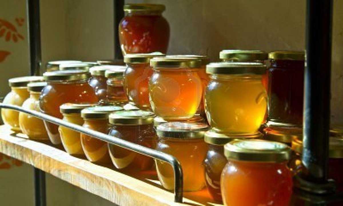 Exportación miel Tamaulipas 