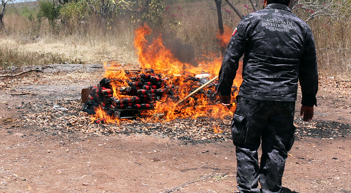 La delegación estatal de la PGR en Colima incineró 421 kilos de cocaína asegurados en Manzanillo.