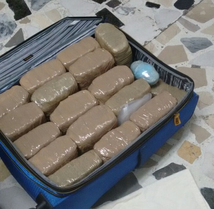 El vegetal se encontraba distribuido en paquetes envueltos con cita canela dentro de cuatro maletas