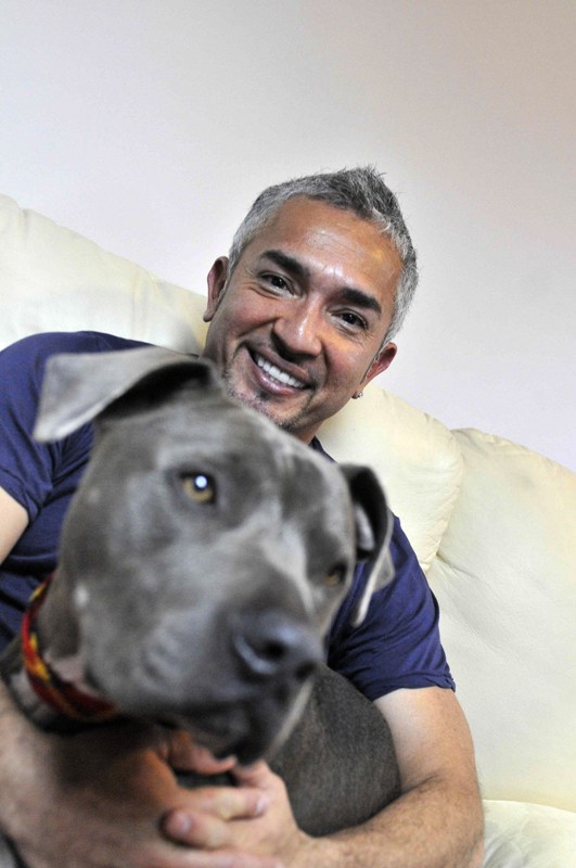 El mexicano César Millán, conocido como el "encantador de perros".