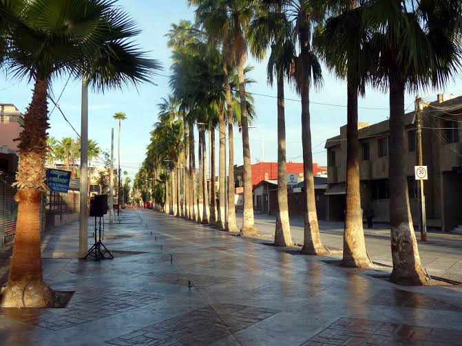 Segunda etapa del Paseo Morelos al 20%.