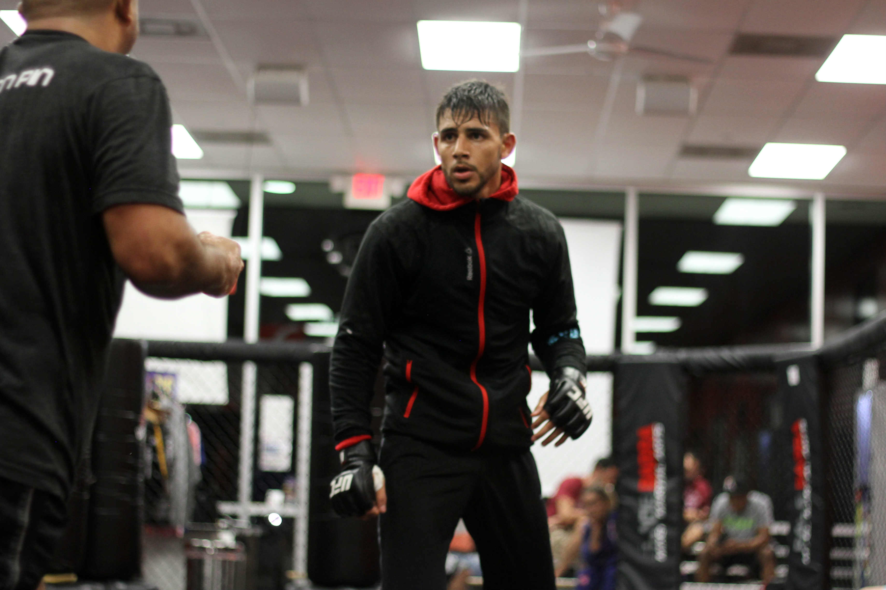 Yair Rodríguez