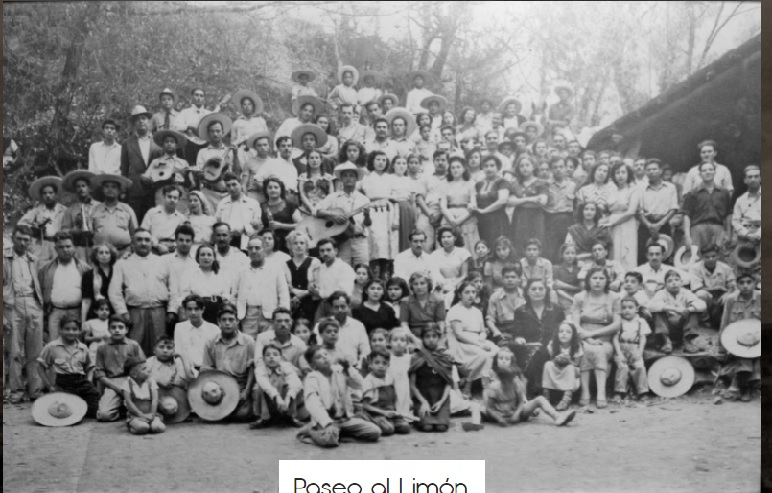 La colección está compuesta de 337 fotografías