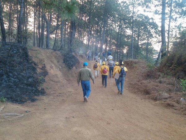 Los brigadistas lograron controlar el fuego en un 95 por ciento. 