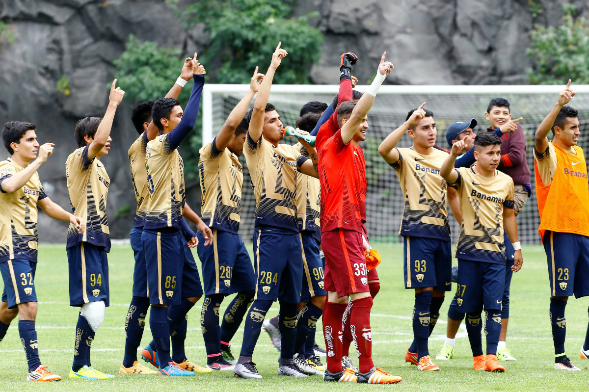 Fuerzas básicas Pumas