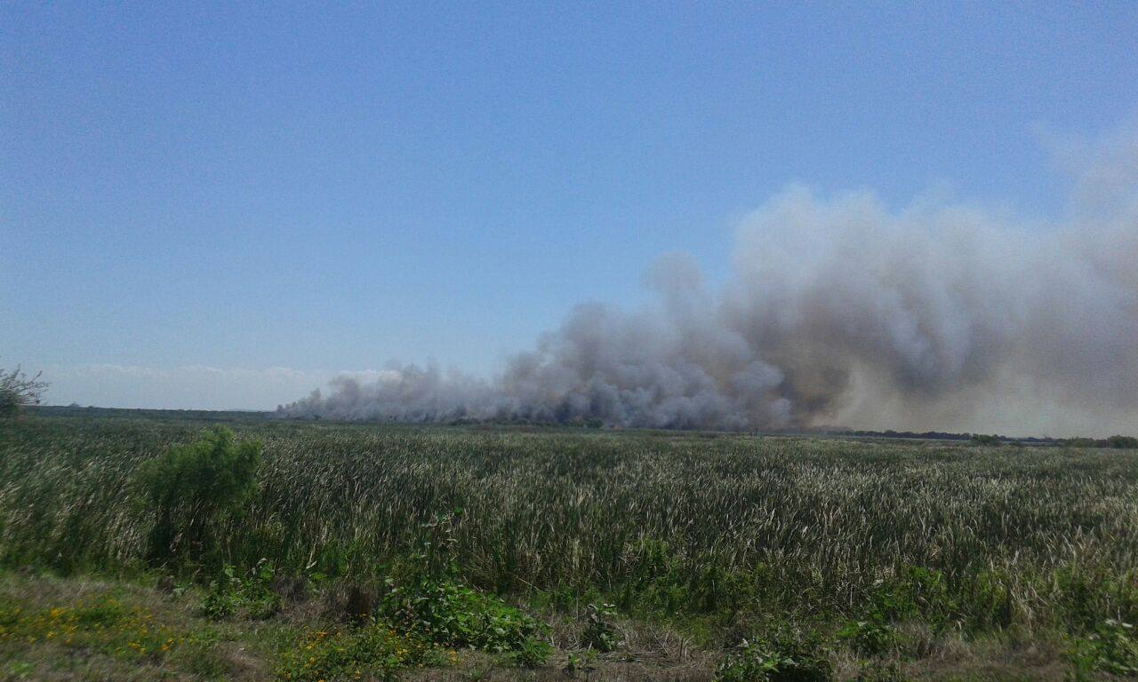 Incendio cerca de la laguna del Chairel.