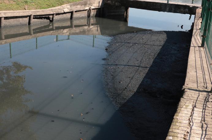 La contaminación de los cuerpos de agua es uno de los problemas que no se voltean a ver.