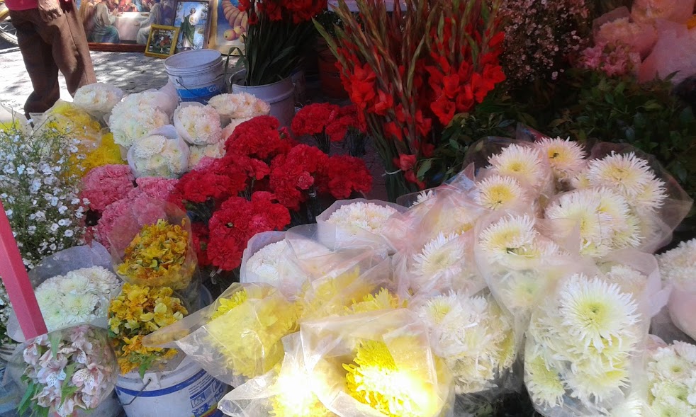 Los espacios son colocados sobre la banqueta de la avenida Francisco I. Madero, así como por la calle Hidalgo y parte de la calle Allende.