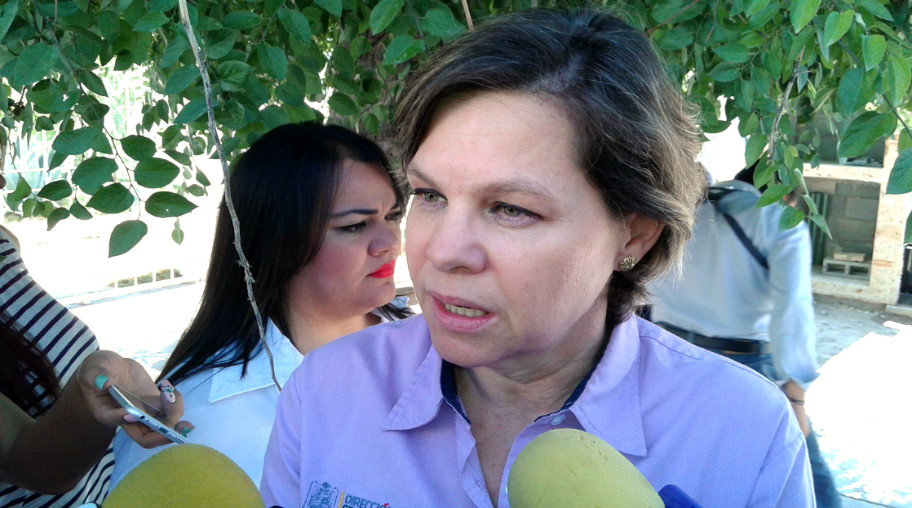 Susana Estens de la Garza, titular de la Dirección de Medio Ambiente en Torreón.