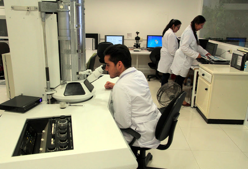 El Instituto de Ciencia y Medicina Genómica es una empresa especialista en el análisis y diagnóstico de enfermedades genéticas.