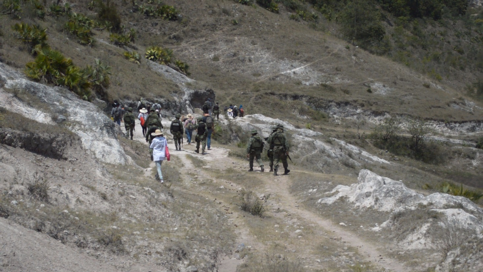Habitantes de Chilapa y activistas del colectivo “Los otros desaparecidos” realizan la búsqueda en el cerro del Tepehuixco.
